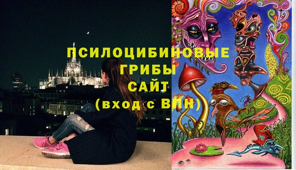 дживик Алексин