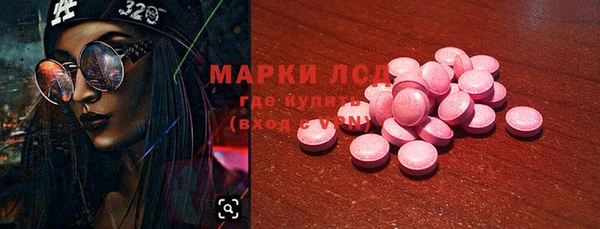 дживик Абинск