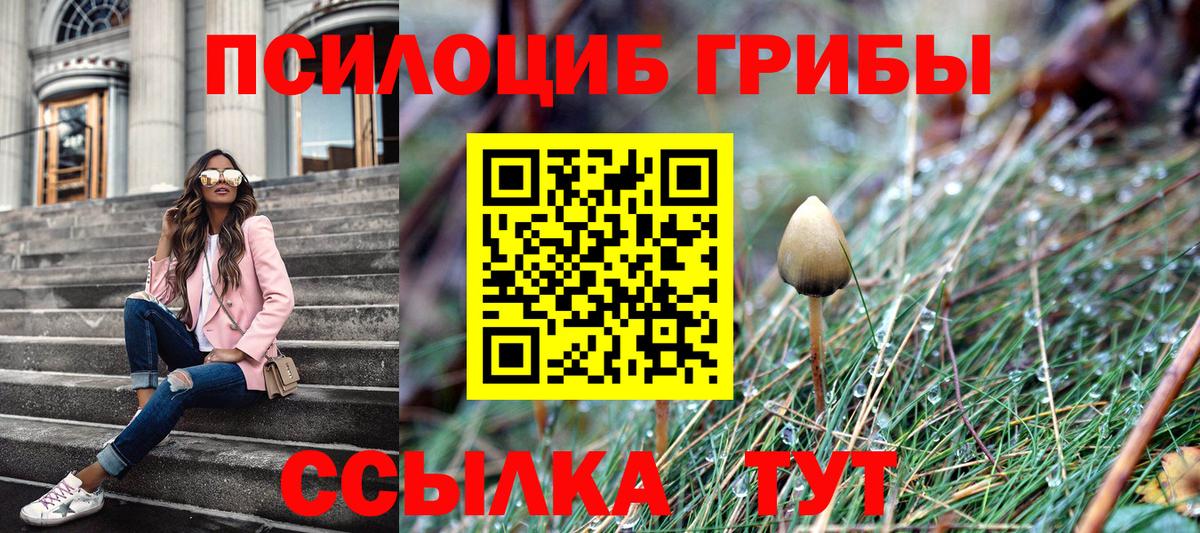 Галлюциногенные грибы прущие грибы Дятьково