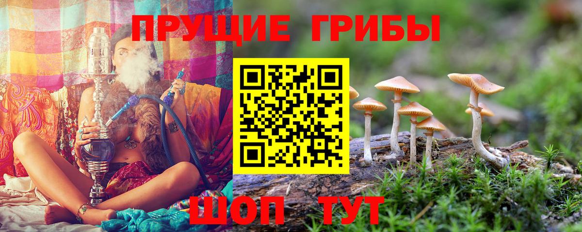 Дятьково  Галлюциногенные грибы Psilocybine cubensis  закладка  Вход с VPN 