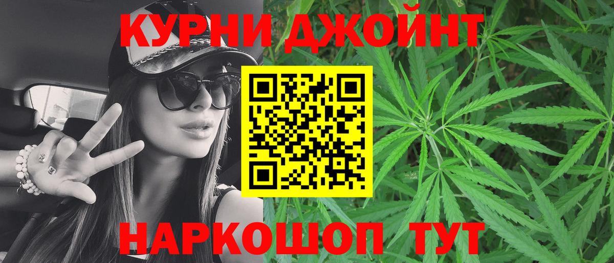 Канабис сатива Дятьково